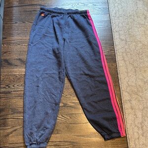 Aviator Nation Sweatpants with Side Stripes